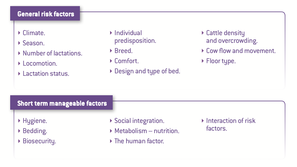 Risk factors table