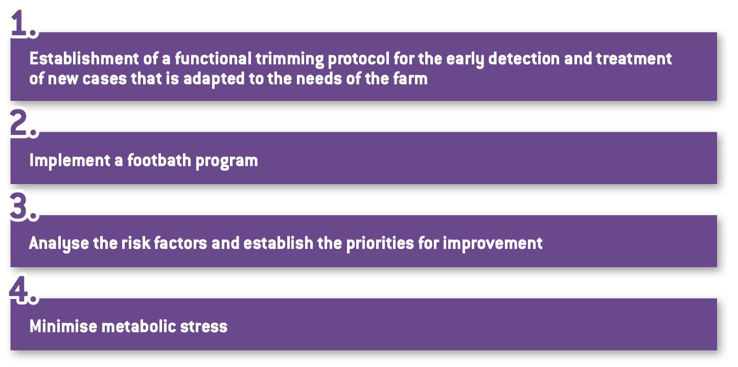 Prevention strategy