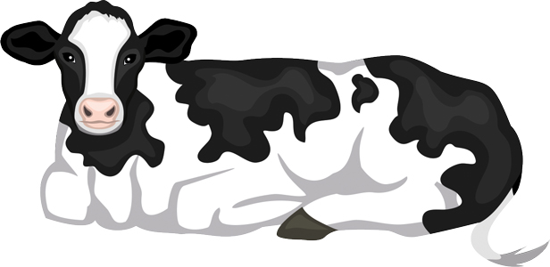 Cow
